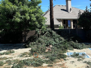 Line Cleans | American Arbors Tree Service Inc