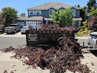 Waste management service in Rocklin CA | All In All