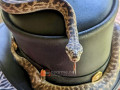 snake-mystery-snake-encounters-small-0