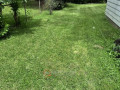 landscaping-in-detroit-mi-pettway-lawn-professionals-llc-small-3