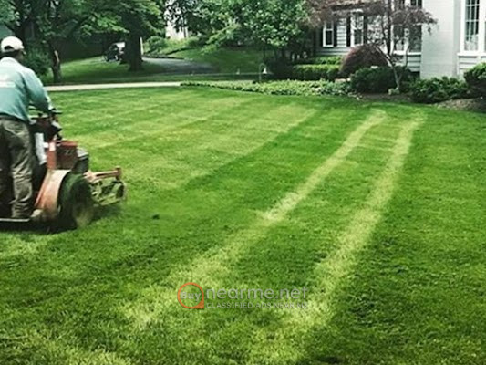 landscaping-in-detroit-mi-pettway-lawn-professionals-llc-big-1